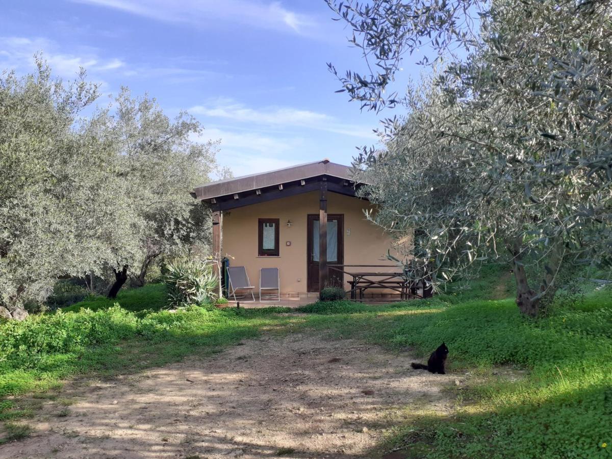 Agriturismo Terra Di Pace Noto Bagian luar foto