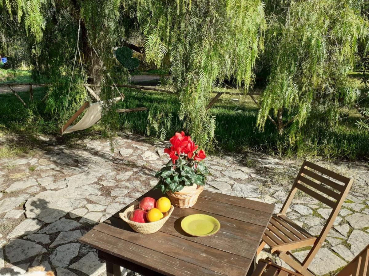 Agriturismo Terra Di Pace Noto Bagian luar foto