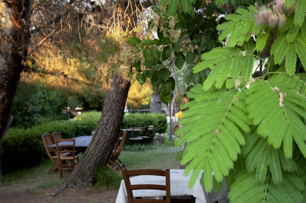 Agriturismo Terra Di Pace Noto Bagian luar foto