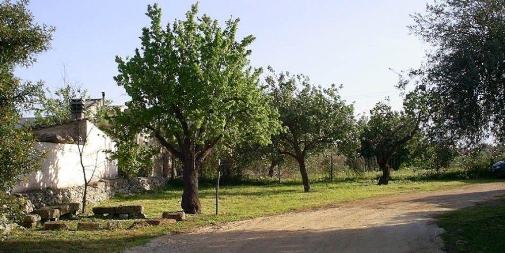 Agriturismo Terra Di Pace Noto Bagian luar foto