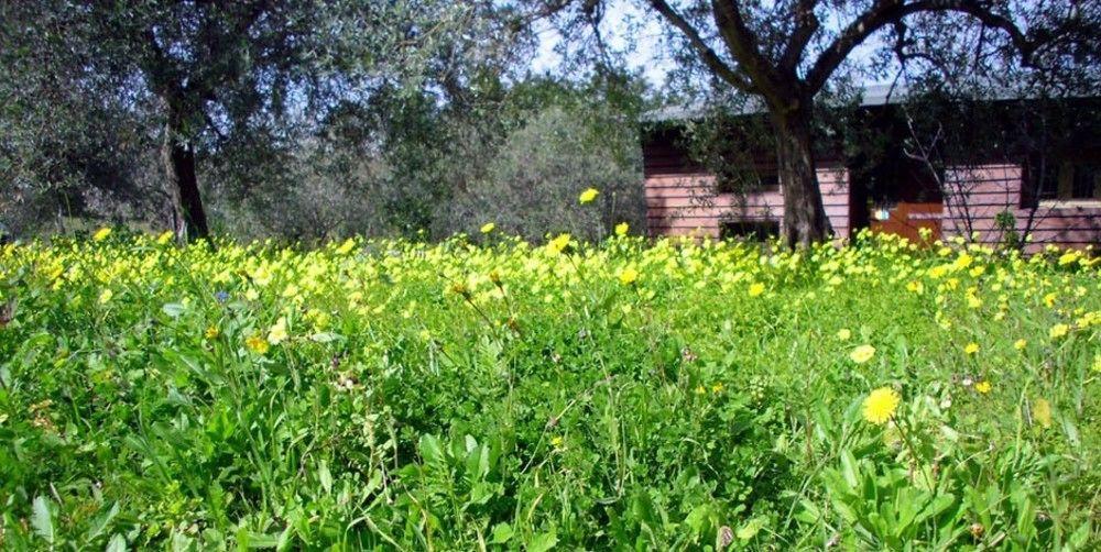 Agriturismo Terra Di Pace Noto Bagian luar foto